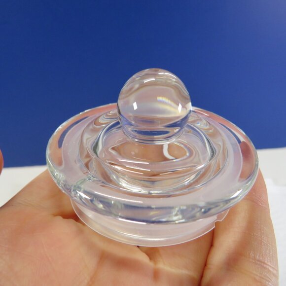 REAL sea shells in a New Glass Jar w seal & lid 5.75" tall (1+ pounds) - Picture 12 of 14